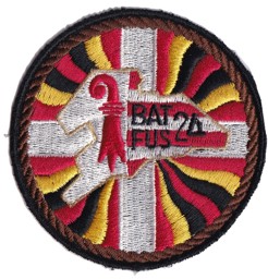 Bild von Bat Fus 24 braun Armee 95 Badge